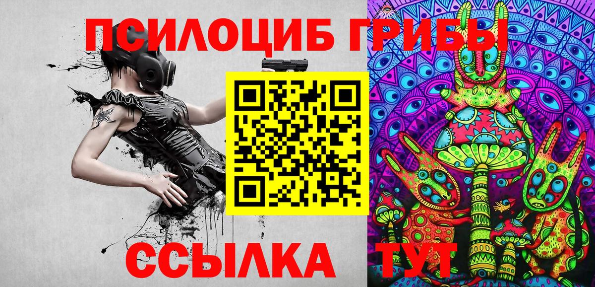 Саранск  Псилоцибиновые грибы MAGIC MUSHROOMS  Вход с VPN 
