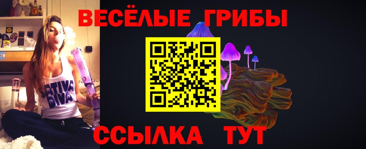 Галлюциногенные грибы GOLDEN TEACHER Саранск